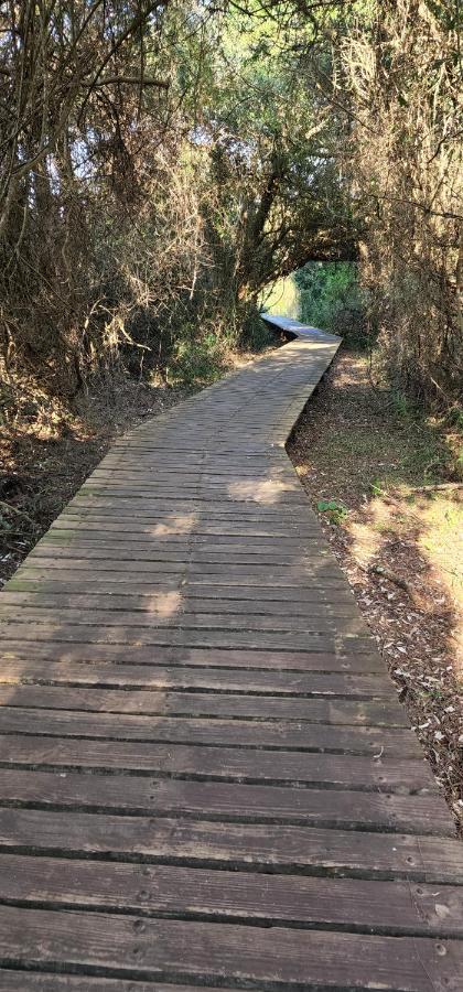The Bridge, Apartment 25 Saint Lucia Estuary Εξωτερικό φωτογραφία